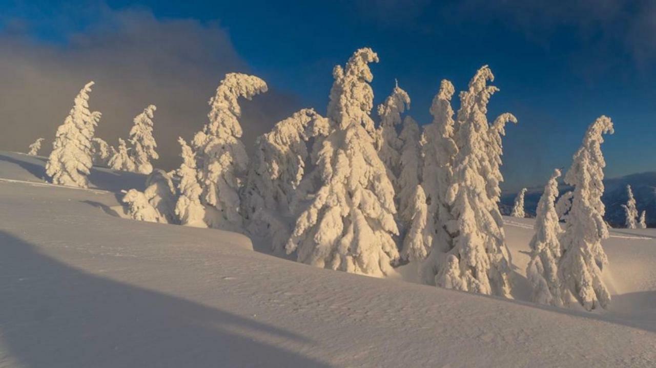 Alpengasthof Grobbauer 로텐만 외부 사진